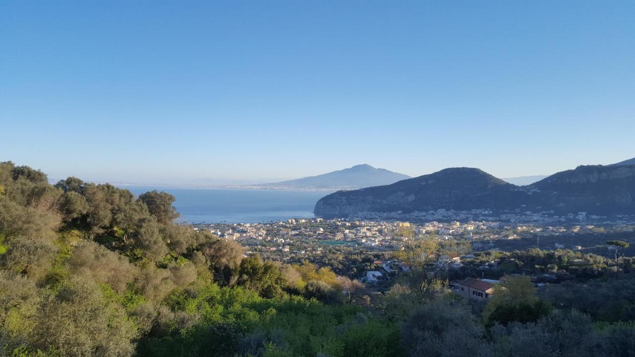 Gli Ulivi Agriturismo Сант'Аньєлло Екстер'єр фото