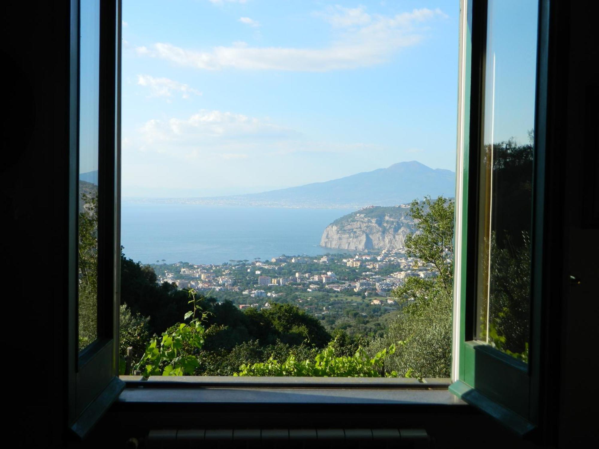 Gli Ulivi Agriturismo Сант'Аньєлло Екстер'єр фото