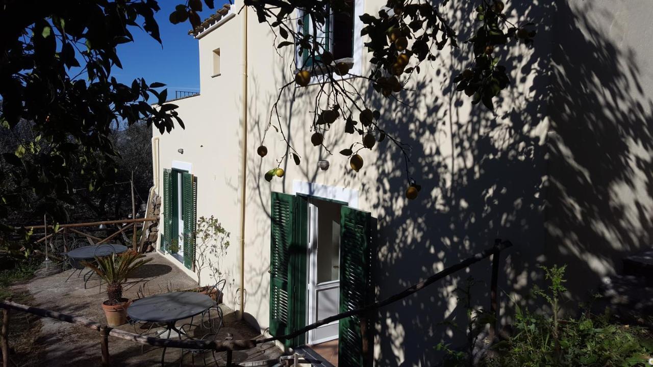 Gli Ulivi Agriturismo Сант'Аньєлло Екстер'єр фото
