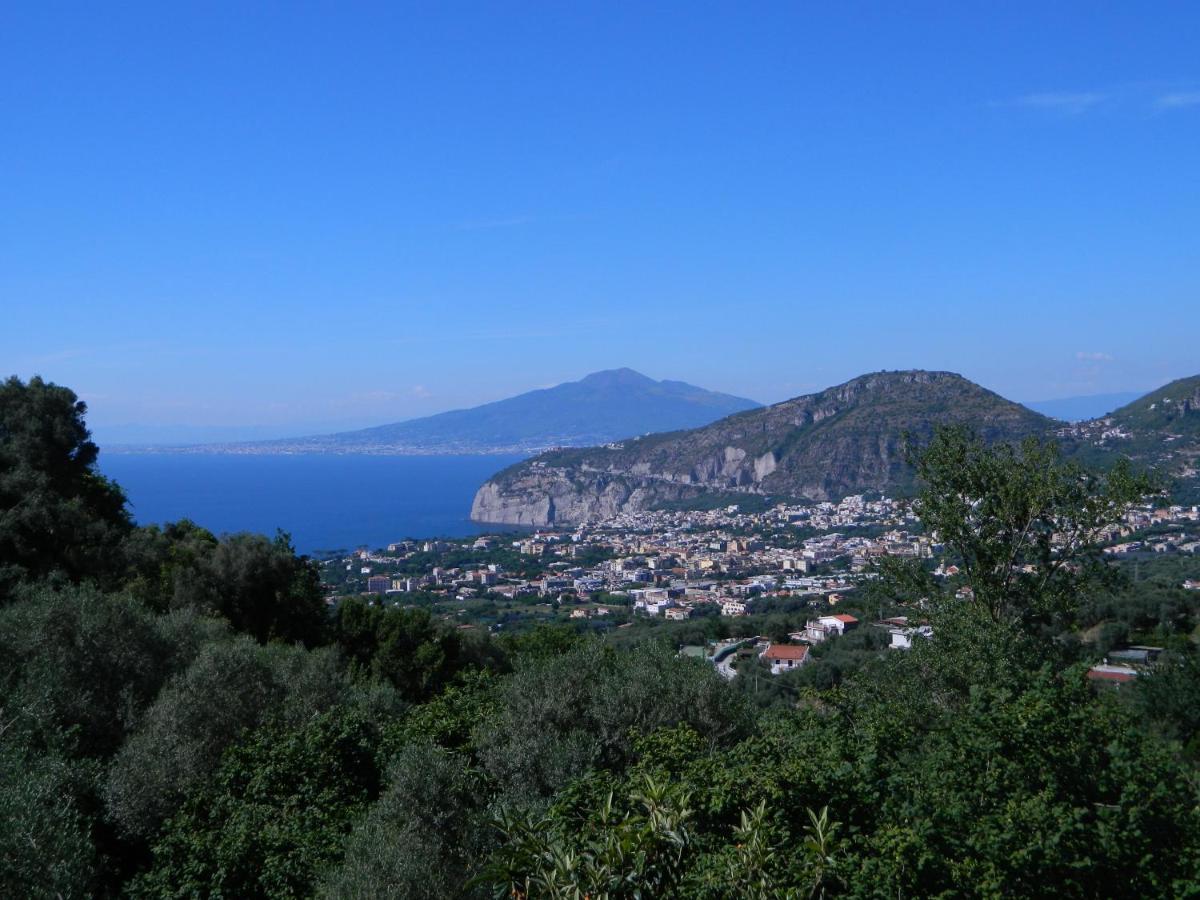 Gli Ulivi Agriturismo Сант'Аньєлло Екстер'єр фото