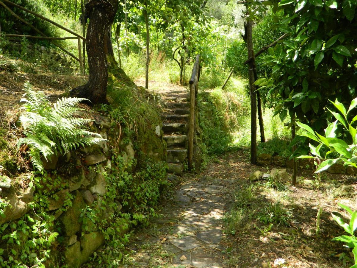 Gli Ulivi Agriturismo Сант'Аньєлло Екстер'єр фото
